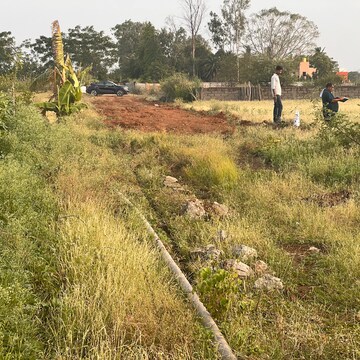 Plot Area in  Plot at Bhatagaon – for Sale