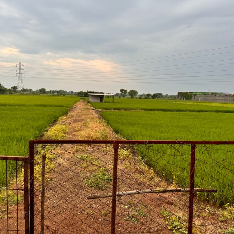 Garden, bhatagaon  11500 Sq.Ft. Plot In Bhatagaon Raipur 8255176