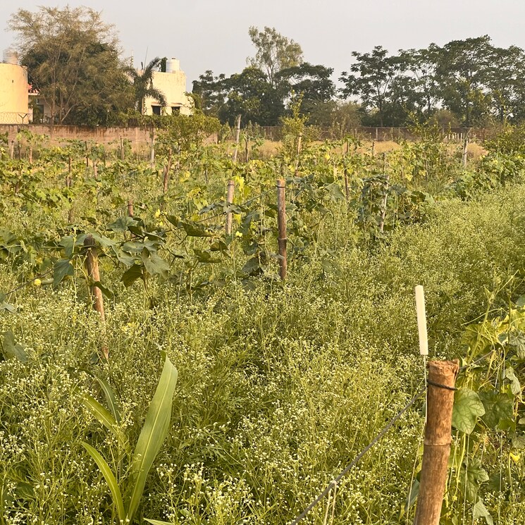 undefined, bhatagaon  11500 Sq.Ft. Plot In Bhatagaon Raipur 8255176