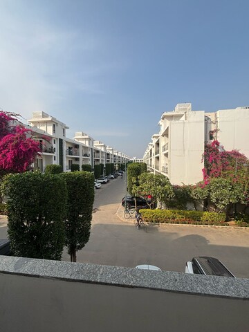 3 BHK Apartment For Rent in Central Park 3 Flower Valley, Sohna Sector 33