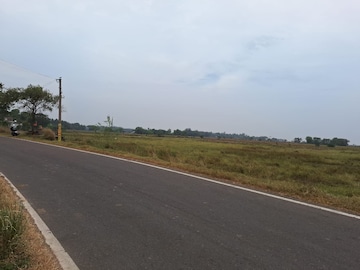 Plot For Resale in Kalinga Vihar Lig Bhubaneswar  8255497