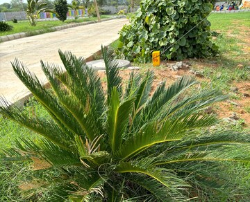  Plot – Garden View at Anjana Signature, Nandigama - for Sale