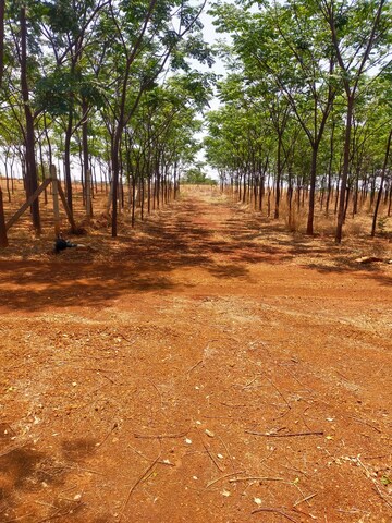 Plot Area in  Plot at Shankarpalli – for Sale