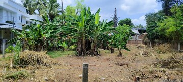 Plot Area in  Plot at Chembukkavu – for Sale
