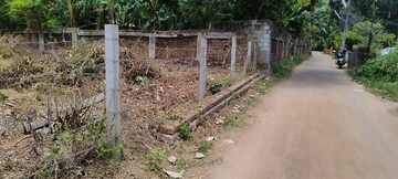Plot Area in  Plot at Chembukkavu – for Sale