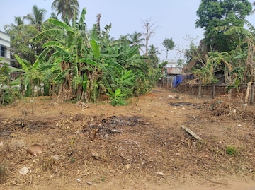 Plot For Resale in Chembukkavu Thrissur  8256745