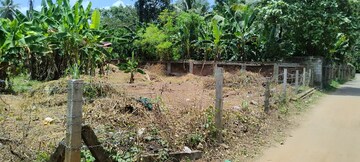 Plot Area in  Plot at Chembukkavu – for Sale