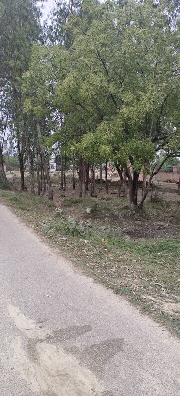 Plot Area in  Plot at Ansal Sushant Golf city, Sushant Golf City – for Sale