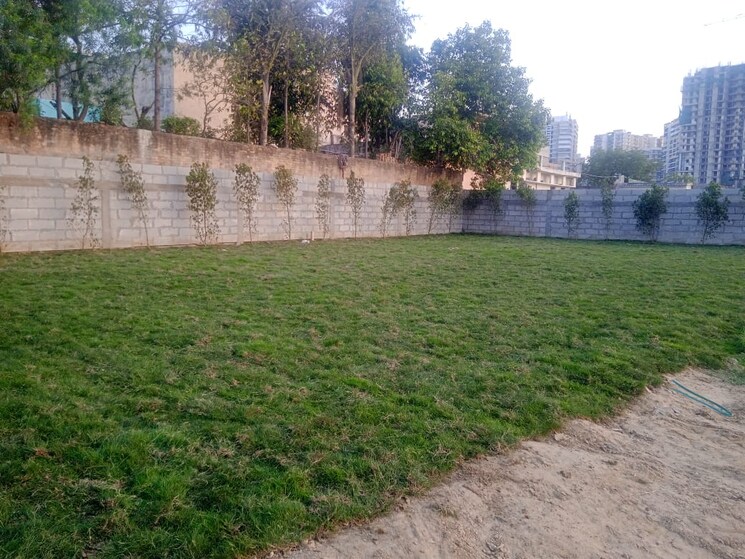 Garden, eros-sampoornam  220 Sq.Mt. Plot In Sector 2 Greater Noida Greater Noida 8257204