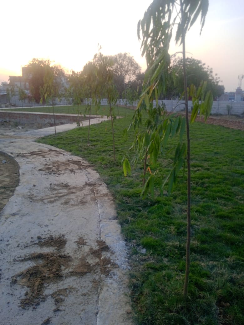 Plot For Sale in Nirala Greenshire