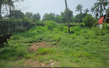 Plot For Sale in Ramavarmapuram