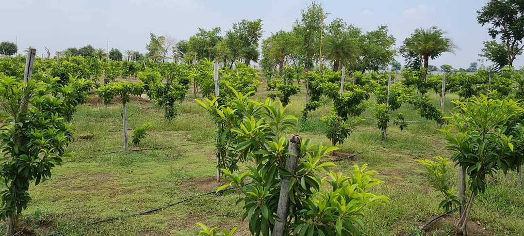 Plot For Sale in Kalpvriksh Villa 