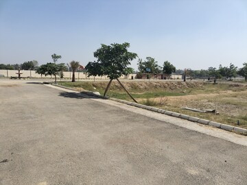 Plot Area in  Plot at Sector 14 – for Sale