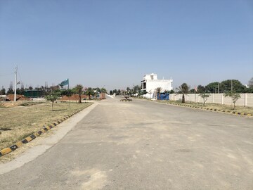 Plot Area in  Plot at Sector 14 – for Sale