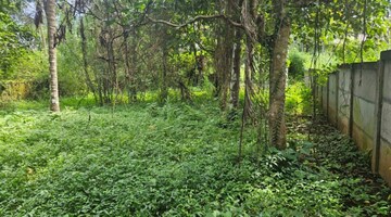 Plot For Resale in Peramangalam Thrissur  8258256