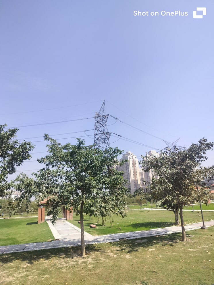 Garden, sector 150  80 Sq.Yd. Plot In Sector 150 Noida 8258966