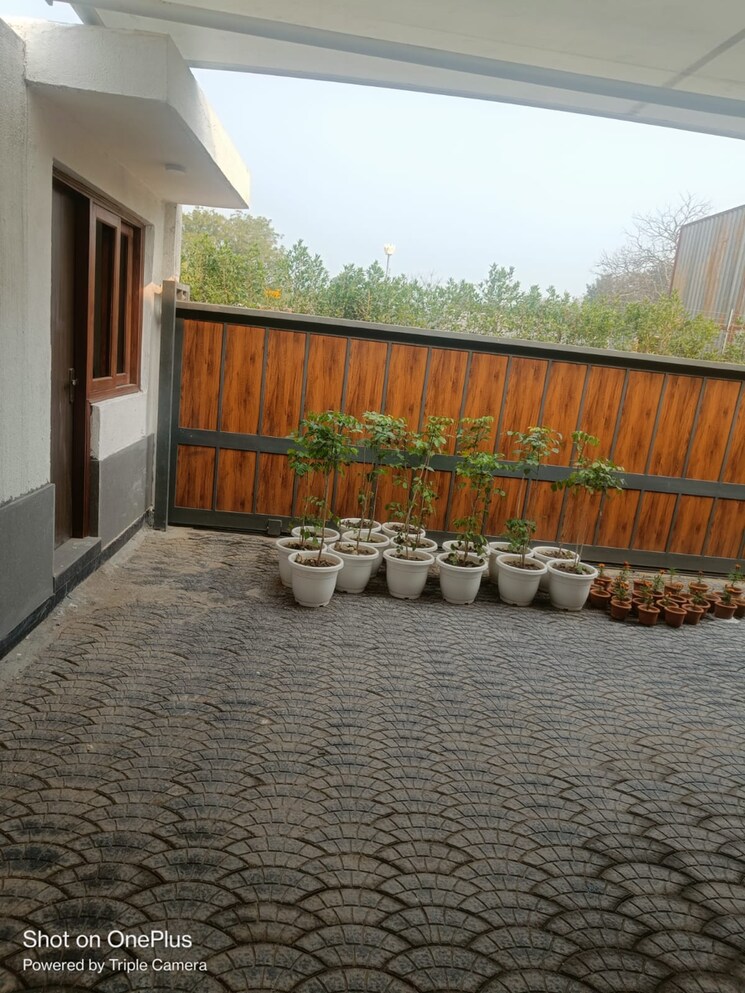 Balcony, dera mandi  1200 Sq.Yd. Plot In Dera Mandi Delhi 8259949