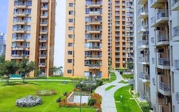 2 BHK Apartment For Rent in Pioneer Park Phase 1, Sector 61