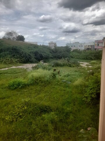 Plot Area in  Plot at B Thandrapadu Road – for Sale