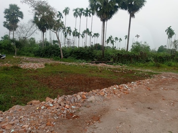 Plot Area in  Plot at Southern Park, Baruipur – for Sale