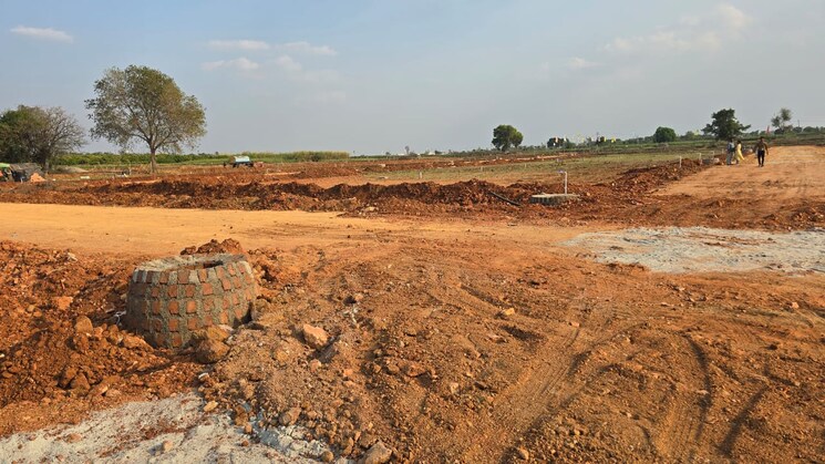 undefined, shadnagar  147 Sq.Yd. Plot In Shadnagar Hyderabad 8260835