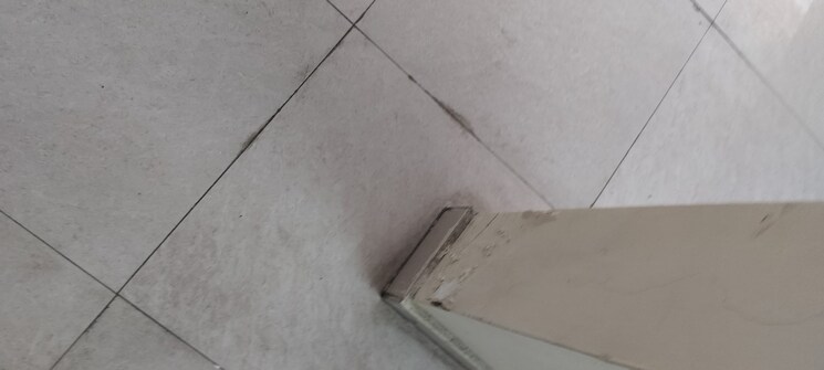 undefined, rwa-apartments-sector-41 6+ Bedroom 195 Sq.Mt. Independent House In Sector 41 Noida 8261492