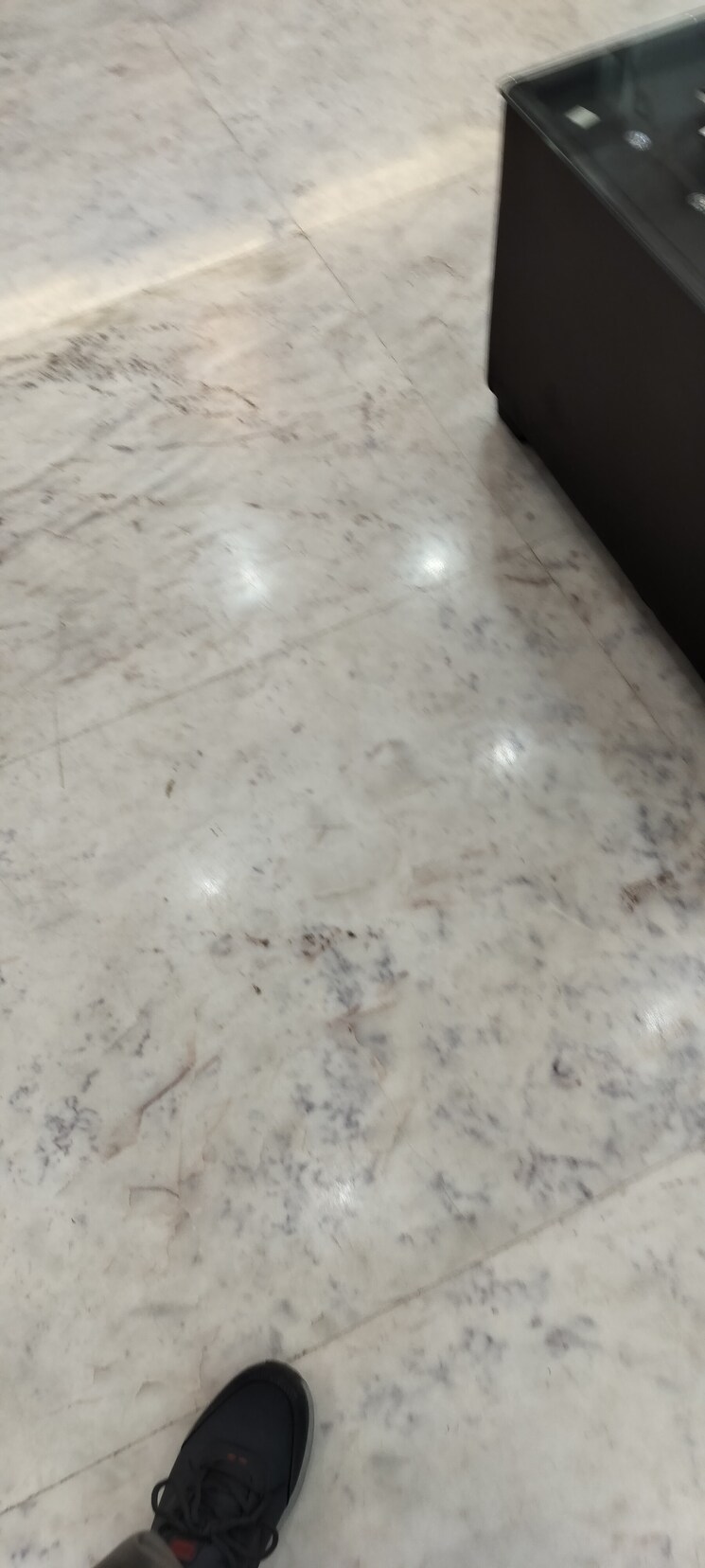 Room, rwa-apartments-sector-41 6+ Bedroom 195 Sq.Mt. Independent House In Sector 41 Noida 8261492