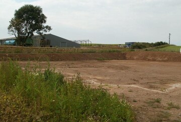  Plot For Sale in Khatushyamji