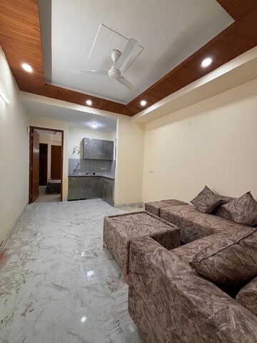 1 BHK Apartment For Rent in Saket