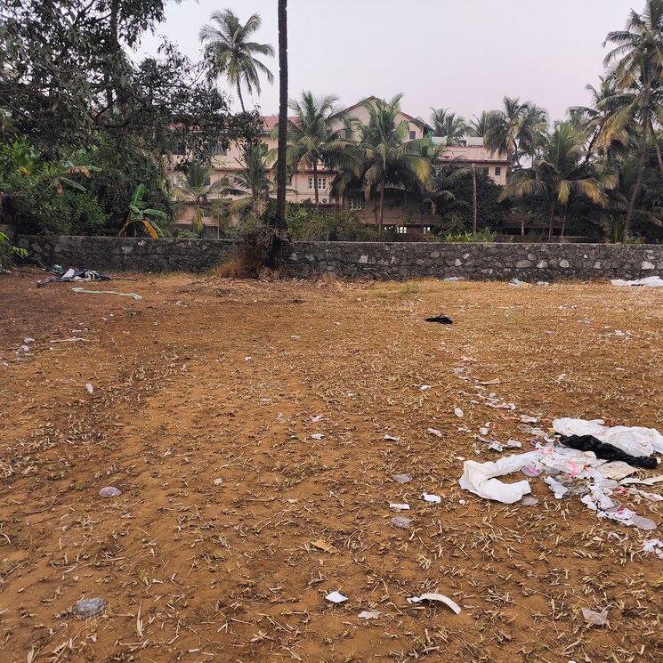 undefined, alathur  6500 Sq.Ft. Plot In Alathur Palakkad 8262285