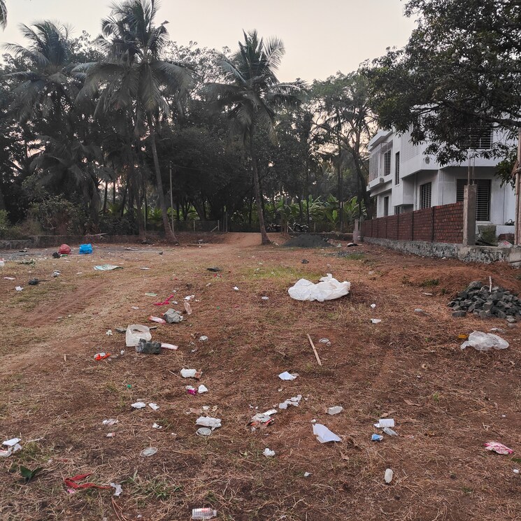 undefined, alathur  6500 Sq.Ft. Plot In Alathur Palakkad 8262285