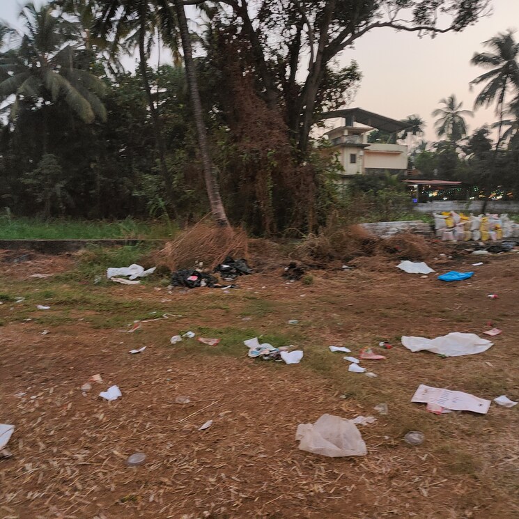 undefined, alathur  6500 Sq.Ft. Plot In Alathur Palakkad 8262285