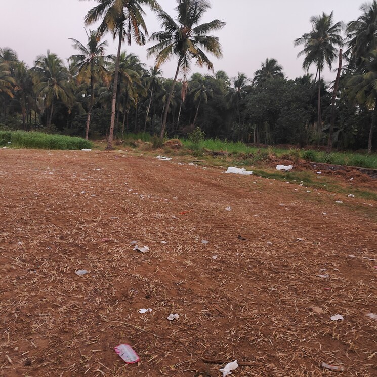 undefined, alathur  6500 Sq.Ft. Plot In Alathur Palakkad 8262285