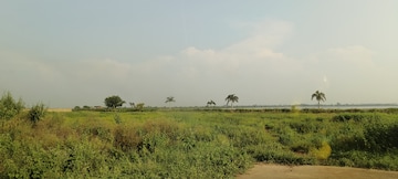 Plot For Resale in Changurabhata Raipur  8263544