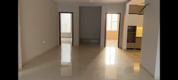 3 BHK Builder Floor For Rent in RWA Apartments Sector 40 Sector 40 Noida  8263744