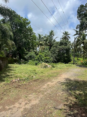  Plot – Exterior View View at Cuncolim - for Sale