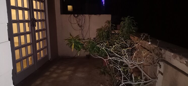 Balcony, saket 1 Bedroom 450 Sq.Ft. Apartment In Saket Delhi 8263823