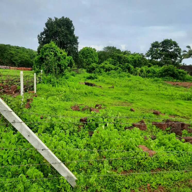 Exterior View, malvan  7000 Sq.Ft. Plot In Malvan Sindhudurg 8263880