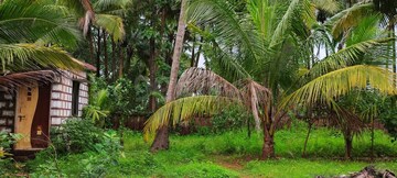  Plot – Exterior View View at Malvan - for Sale