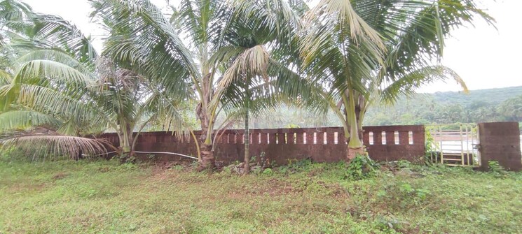Exterior View, malvan  7000 Sq.Ft. Plot In Malvan Sindhudurg 8263880