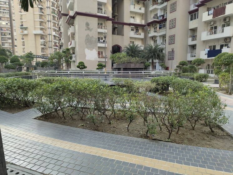 Garden, samridhi-grand-avenue 2 Bedroom 980 Sq.Ft. Apartment In Tech Zone 4 Greater Noida Greater Noida 8264400
