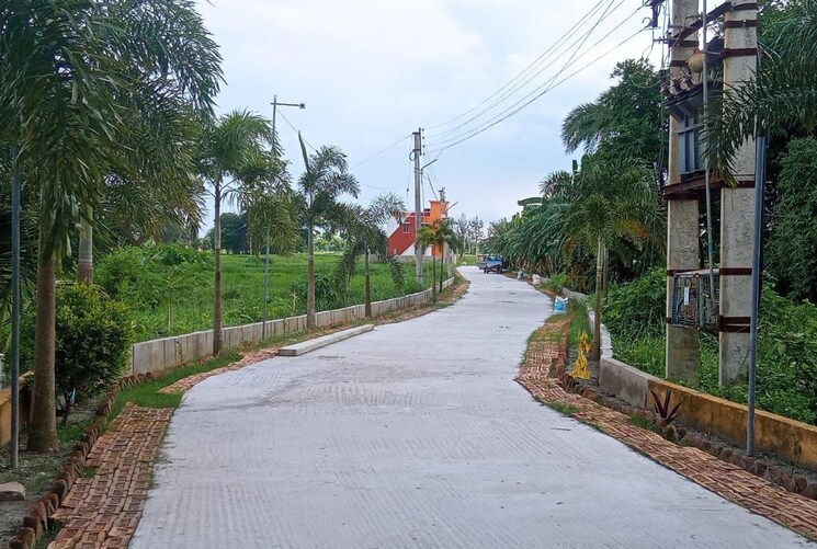 Exterior View, rasapunja  3600 Sq.Ft. Plot In Rasapunja Kolkata 8264594