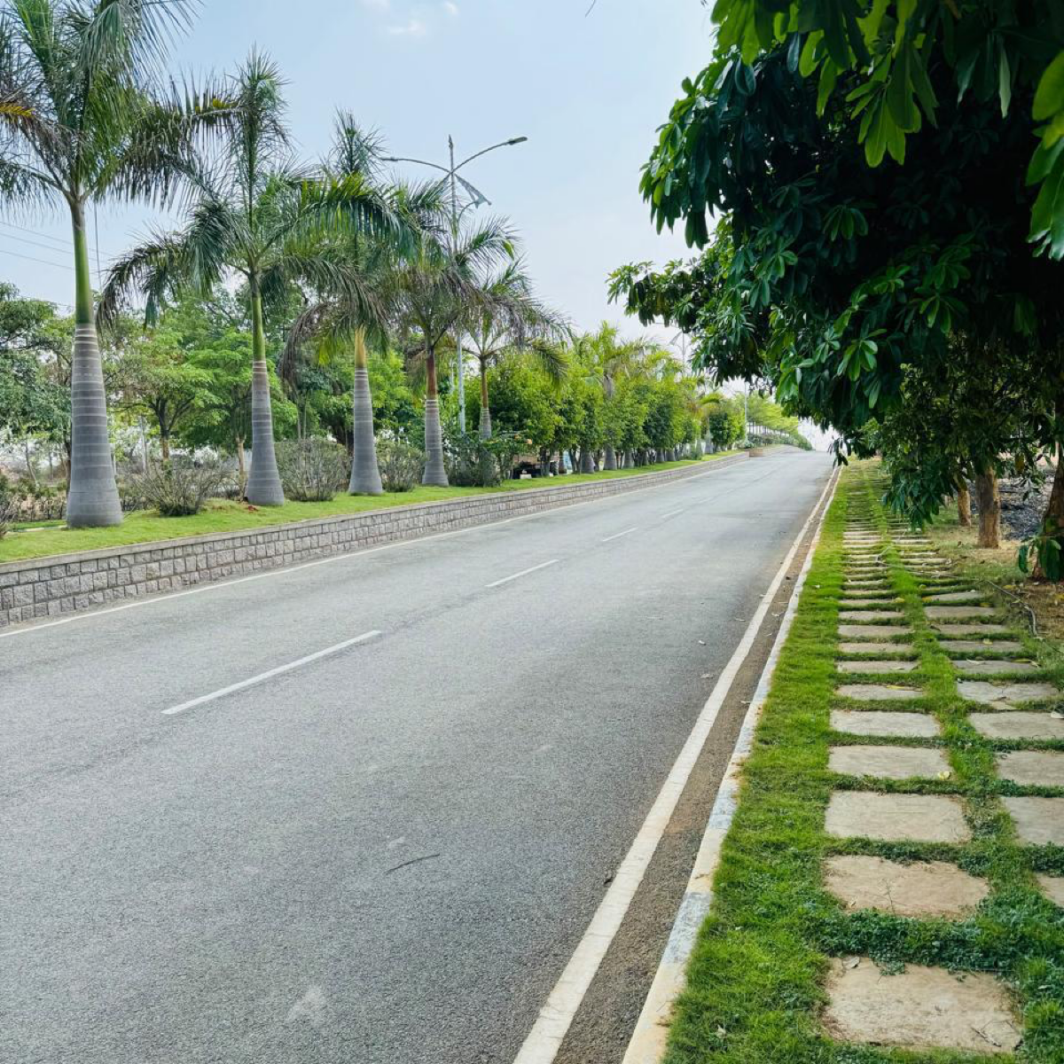 Plot For Sale in Sr Projects