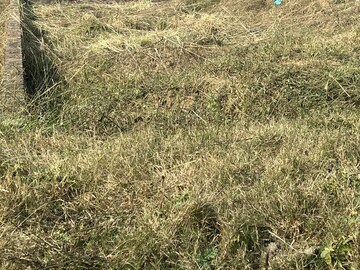 Plot For Sale in Aerocity