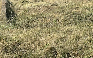 Plot For Sale in Aerocity