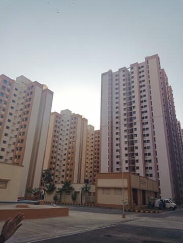 1 BHK Apartment For Rent in CIDCO Sector 36 Taloja CHS Sector 36 Taloja Navi Mumbai  8258364