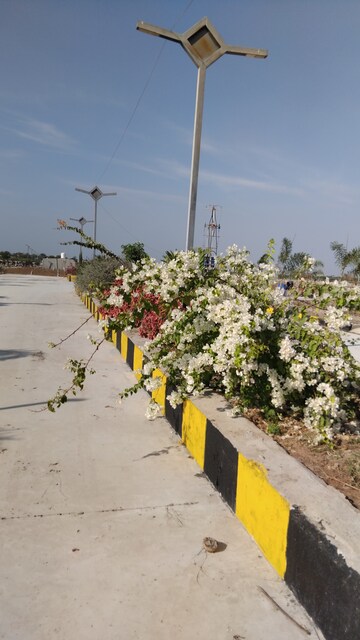  Plot – Exterior View View at Ismailkhanpet - for Sale