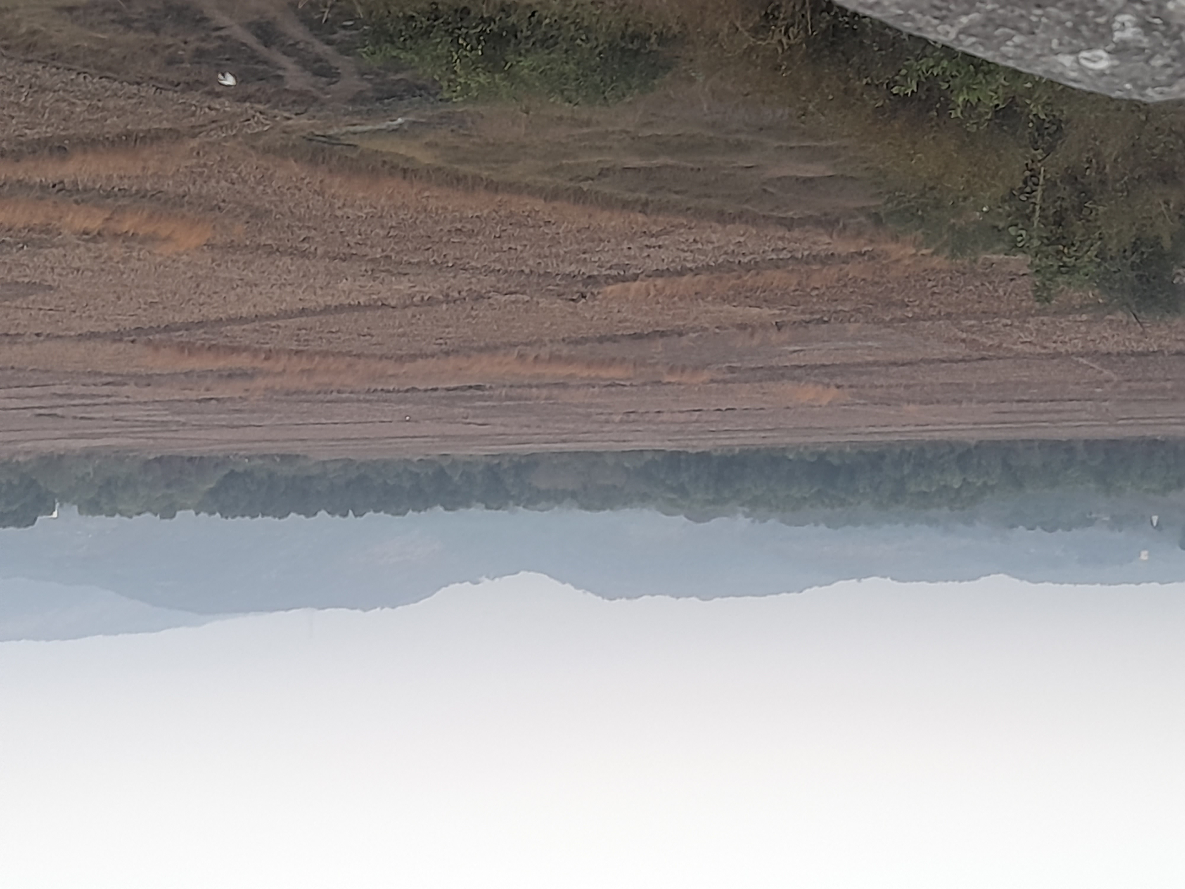 Plot For Sale in Residential Plot 