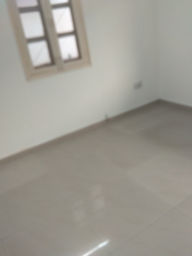 3 BHK + Pooja Room,Servant Room,Study Room,Extra Room Independent House For Sale in Maharani Bagh