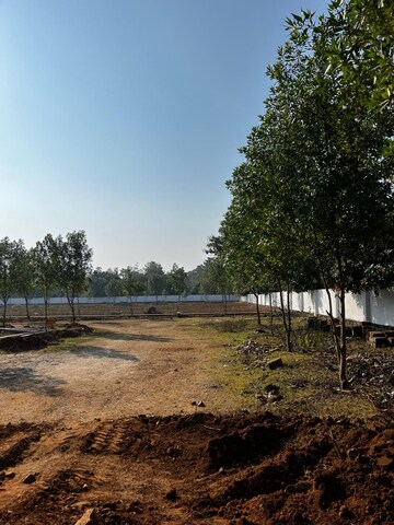 Plot Area in  Plot at Bhogapuram – for Sale